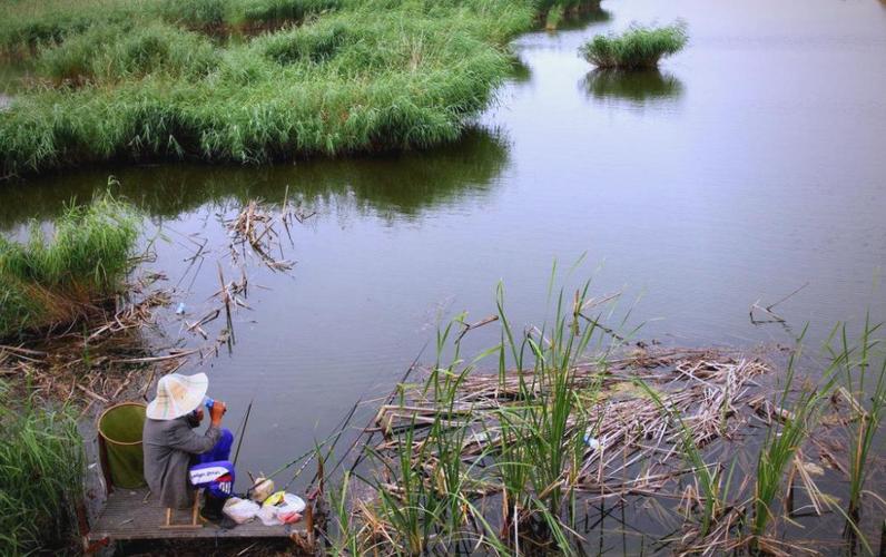水草附近底層魚聚集地_四月釣魚選擇什么位置最好_打窩子位置選擇