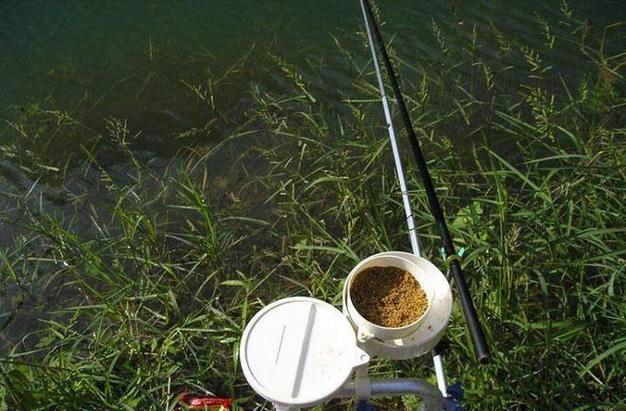 釣草魚用什么餌_釣草魚伊勢尼鉤_水庫釣草魚用什么餌料最好