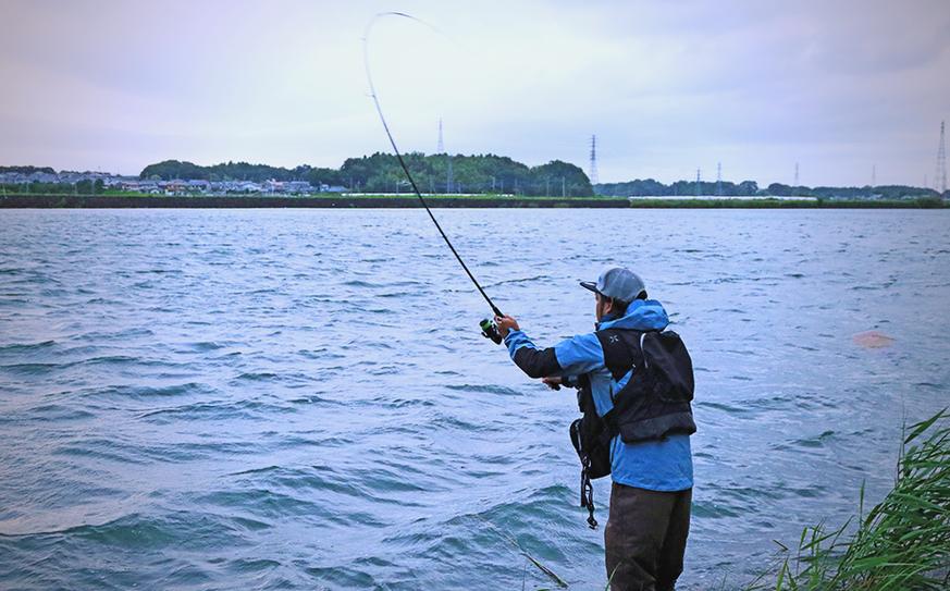 釣鱸魚技巧_鱸魚秋季釣法_海鱸釣法