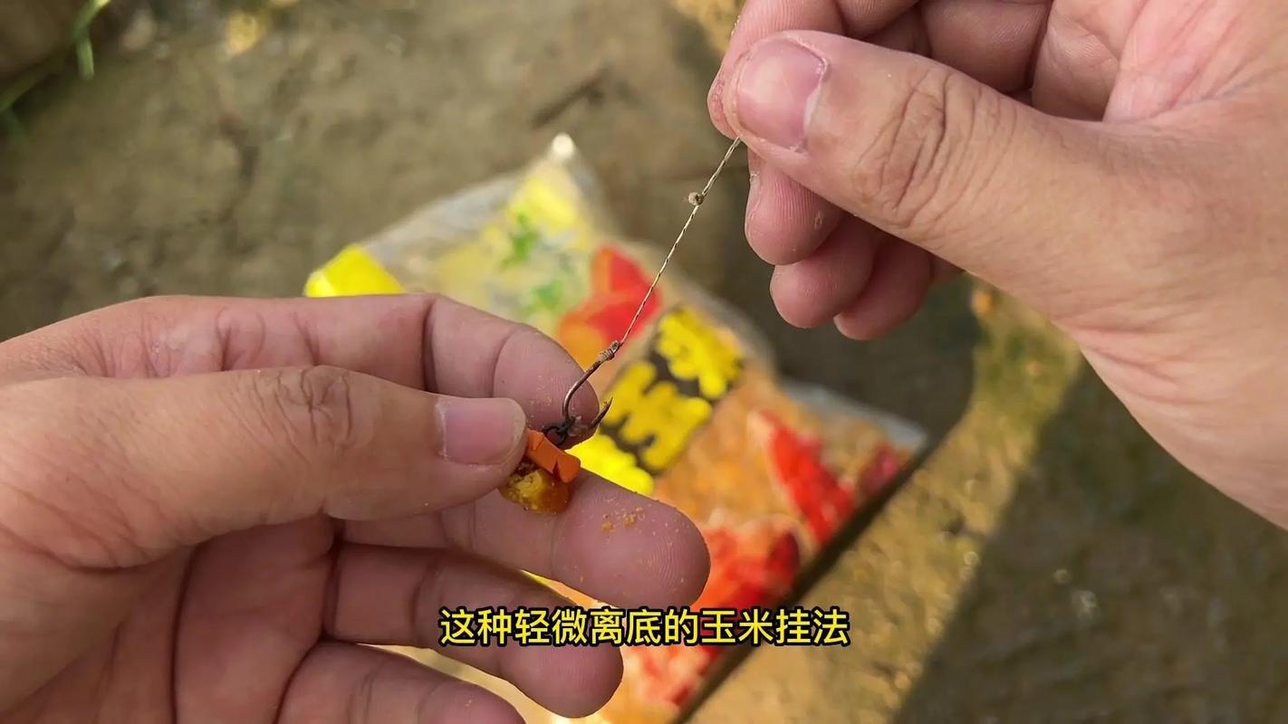黑坑釣草魚用什么餌料最好用_黑坑釣魚老手私藏干貨教你在密集魚群中精準收割水_黑坑釣草魚實戰技巧｜新手必看！5大黃金釣位+3種高活性餌料搭配（附避坑指南）