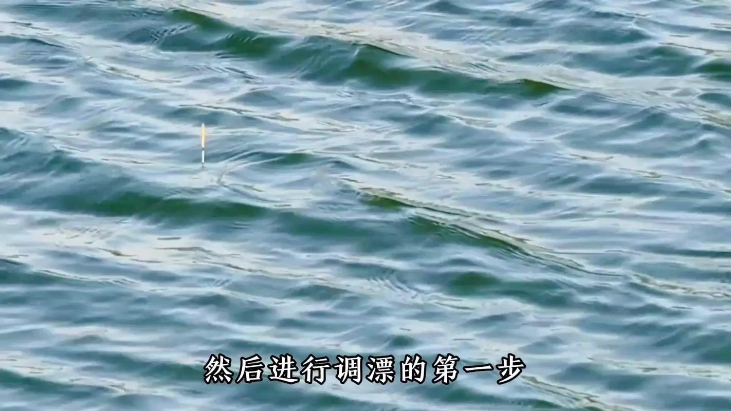 拉餌調漂最關鍵步驟_釣魚技巧調漂_拉餌野釣調漂方法