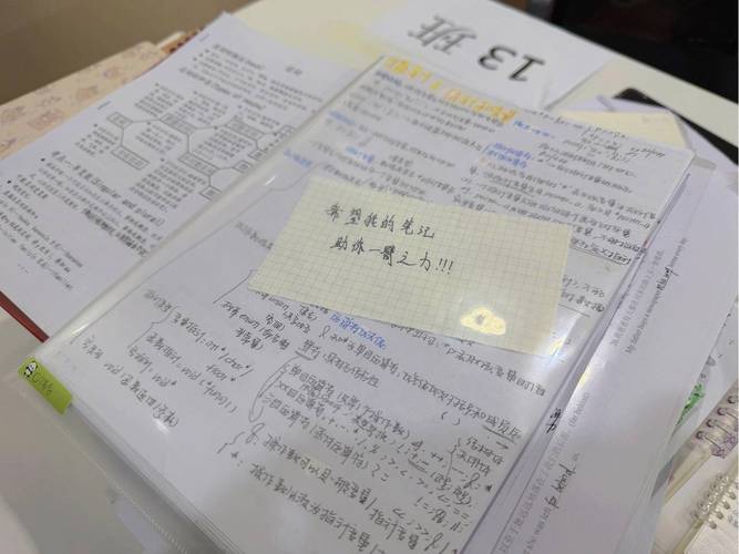 崩豆釣魚小藥成熟配方_崩豆黑坑釣魚視頻_崩豆百場黑坑2021