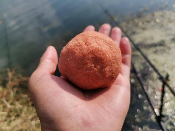 草魚餌料配方技巧_深秋釣草魚用什么餌最好釣_釣草魚餌料指標