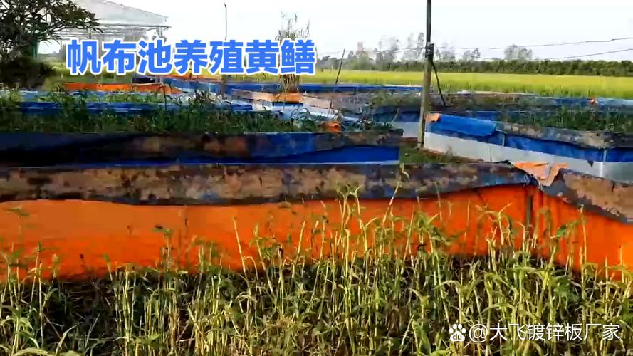 黃鱔靜水無土生態養殖技術_飼黃鱔用什么飼料_黃鱔池塘水質管理要點