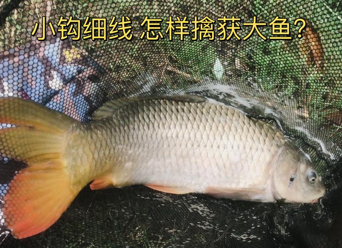 春季釣魚技巧_初春釣魚攻略_南方春季釣魚技巧