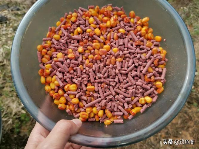 基礎餌釣不敗_釣草魚用什么餌料好 用什么餌料_基礎餌使用技巧