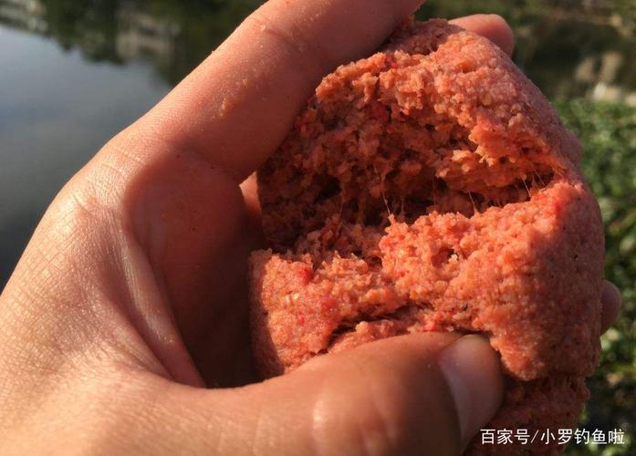 釣大板鯽技巧_大板鯽垂釣經驗分享_釣草魚用什么餌料好 用什么餌料