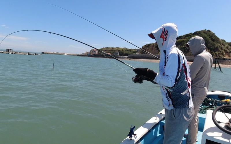 出海釣魚視頻_出海釣魚作文技巧_七里海河蟹釣法