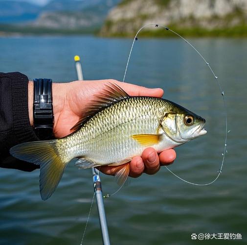 釣魚人的甜蜜負擔_送釣魚愛好者禮物推薦_釣多的魚送人勸你別送