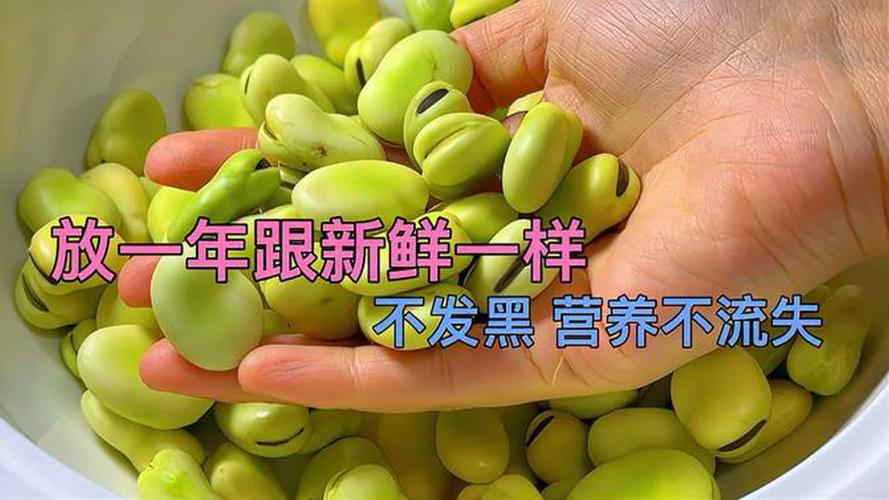 蠶豆怎么保存才新鮮很長時間_油炒法保存蠶豆的技巧_保存蠶豆的正確方法
