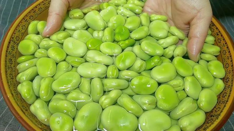 蠶豆怎么保存才新鮮很長時間_保存蠶豆的正確方法_油炒法保存蠶豆的技巧