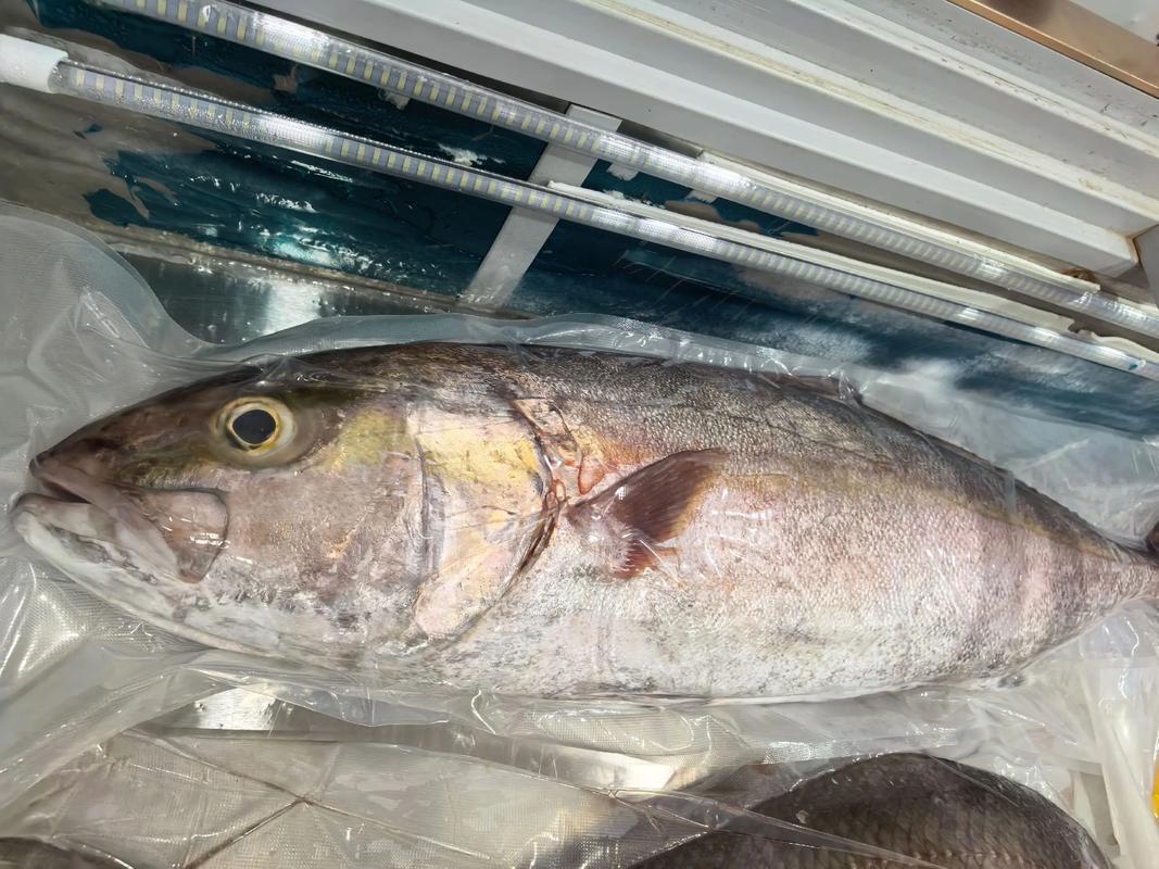 釣魚極限運動_極限釣魚_釣魚極限逃亡技巧