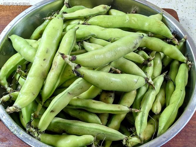 蠶豆放冰箱保存技巧_蠶豆怎么保存才新鮮很長時間_蠶豆正確保存方法