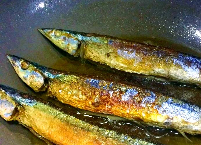 秋刀魚做法大全_秋刀漁_秋刀魚營養價值功效