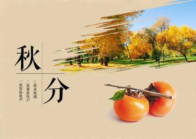 秋分浪漫收集_秋分瑟瑟解我意_秋分晝夜平分