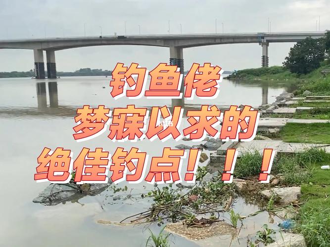 中國釣魚網官網app_中國釣魚人網_釣魚人釣魚網
