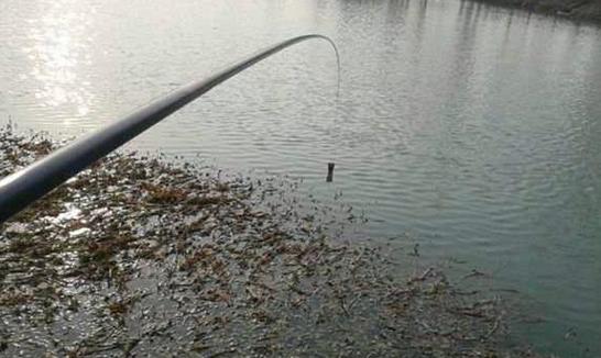 窄水面釣鯽魚技巧_冬季釣鯽魚規律_野外釣魚技巧
