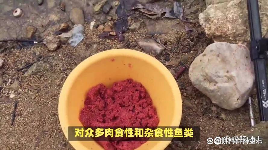 如何用蚯蚓調漂_蚯蚓釣魚調漂幾目最好_蚯蚓釣魚技巧