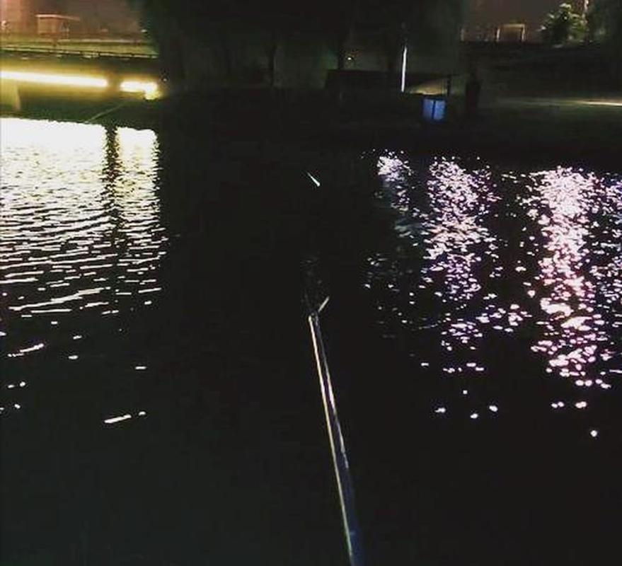 夜釣水庫釣魚技巧_夜釣淺灘水深_夜釣深淺選擇