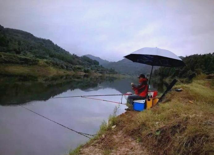 初冬釣鯽魚技巧_秋末初冬釣鯽魚_子線選擇技巧