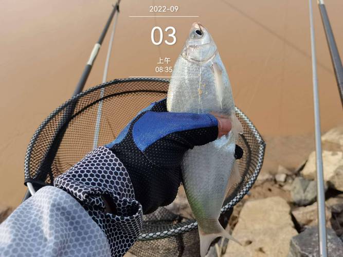 潴龍河釣魚_潴龍河上游是哪_潴龍河水到哪里了