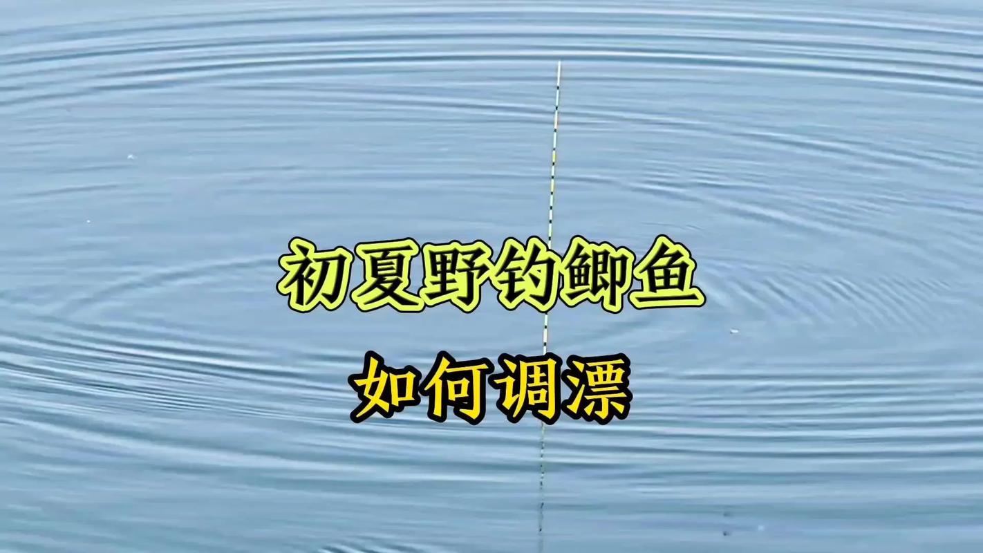 夏季野釣鯽魚怎樣調漂_浮漂選擇與調整方法_夏季釣鯽魚調漂技巧