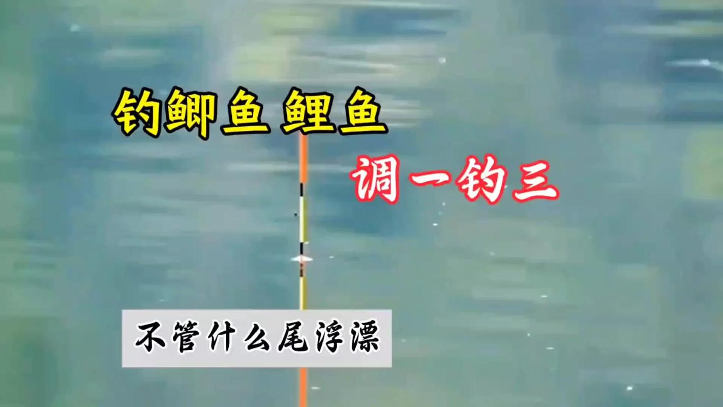 浮漂選擇與調整方法_夏季野釣鯽魚怎樣調漂_夏季釣鯽魚調漂技巧