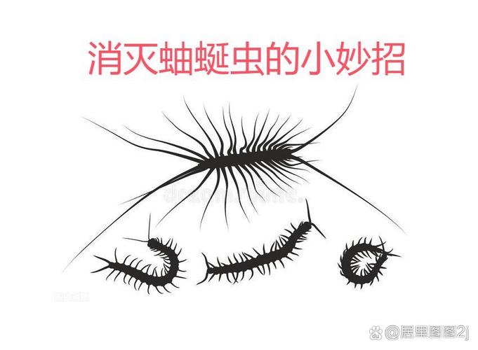 超級賤的蟲子_賤蟲cp_超級賤的蟲子動畫片出自哪里