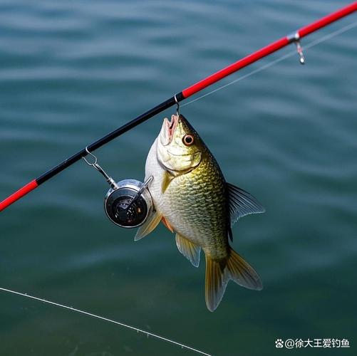 浮漂信號識別_朝天鉤釣魚技巧_朝天鉤釣鯉魚技巧