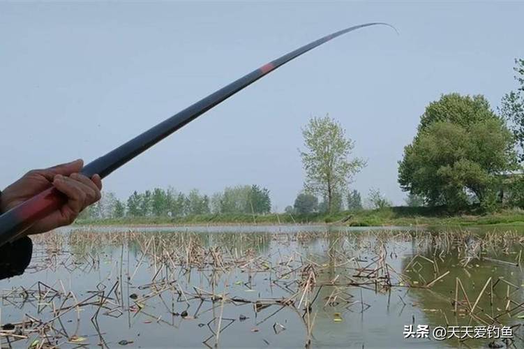搜索野外釣魚_精準拋投釣魚方法_野外釣魚技巧