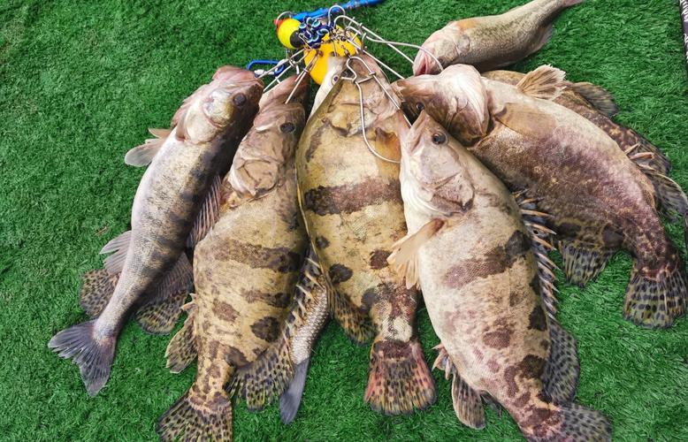 路亞釣鱖魚技巧_路亞釣什么魚_鱖魚生態習性詳解
