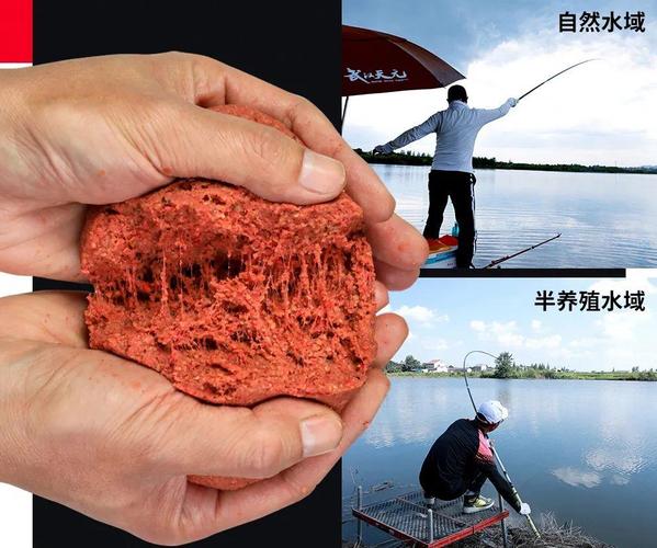 初夏釣魚技巧_釣位選擇技巧_夏季釣魚技巧入門