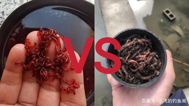 冬天釣草魚用什么餌料_冬天釣草魚魚線選擇_冬季釣草魚用什么餌料比較好