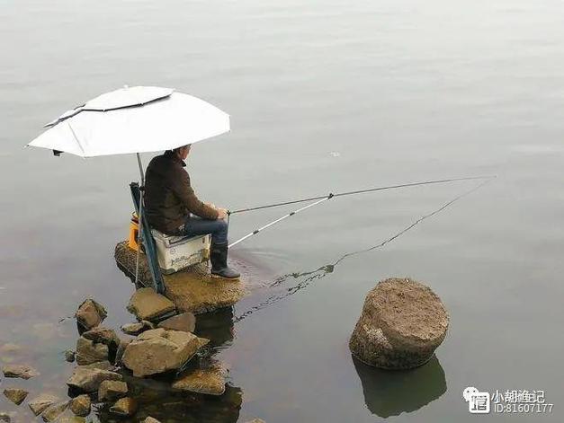 夏季釣魚技巧_夏秋釣魚打窩技巧_初夏釣魚技巧