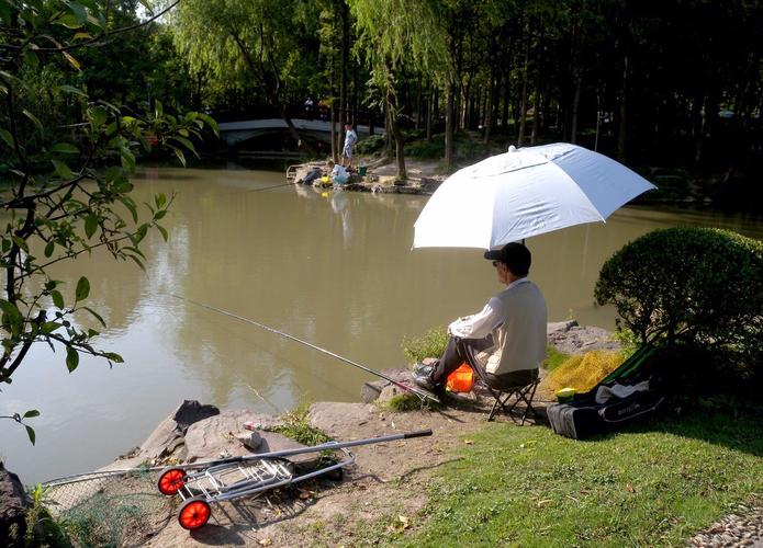 夏季釣魚技巧_初夏釣魚技巧_夏秋釣魚打窩技巧