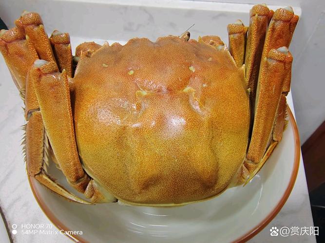 河蟹營養價值功效作用_河蟹是什么蟹種_河蟹藥用價值偏方食譜