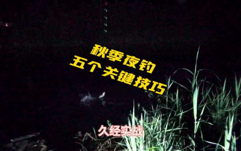 夜釣水庫安全注意事項_水庫晚上釣魚技巧_秋季夜晚水庫釣魚技巧