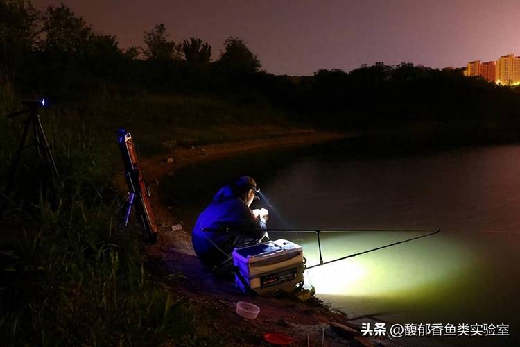 水庫晚上釣魚技巧_秋季夜晚水庫釣魚技巧_夜釣水庫安全注意事項