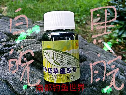 長江野釣草魚_長江釣草魚分享_長江釣草魚用什么餌最好