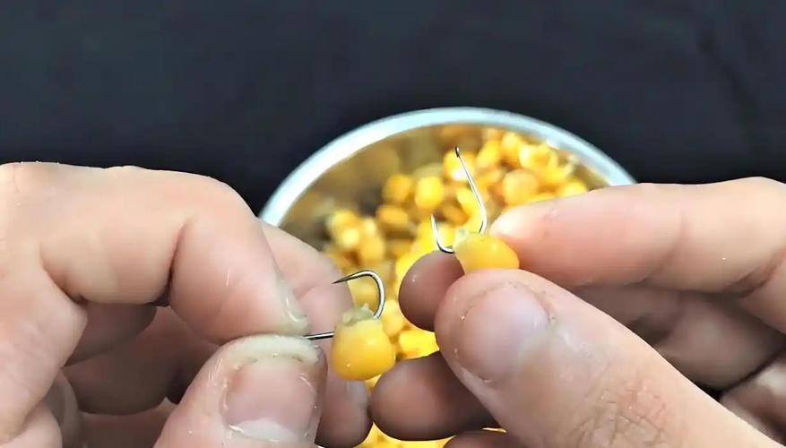 玉米釣草魚技巧_釣草魚餌料選擇_深秋釣草魚用什么餌料最好的選擇
