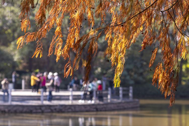 廣州冷空氣預報_冬至廣州天氣_廣州市天氣預報