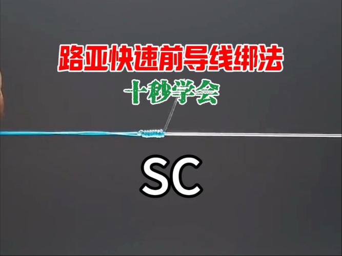 路亞釣魚裝備選擇_路亞竿的使用方法視頻_路亞釣魚實戰技法