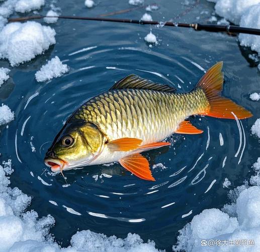 釣位選擇技巧_初冬鯉魚釣法_初冬釣鯽魚
