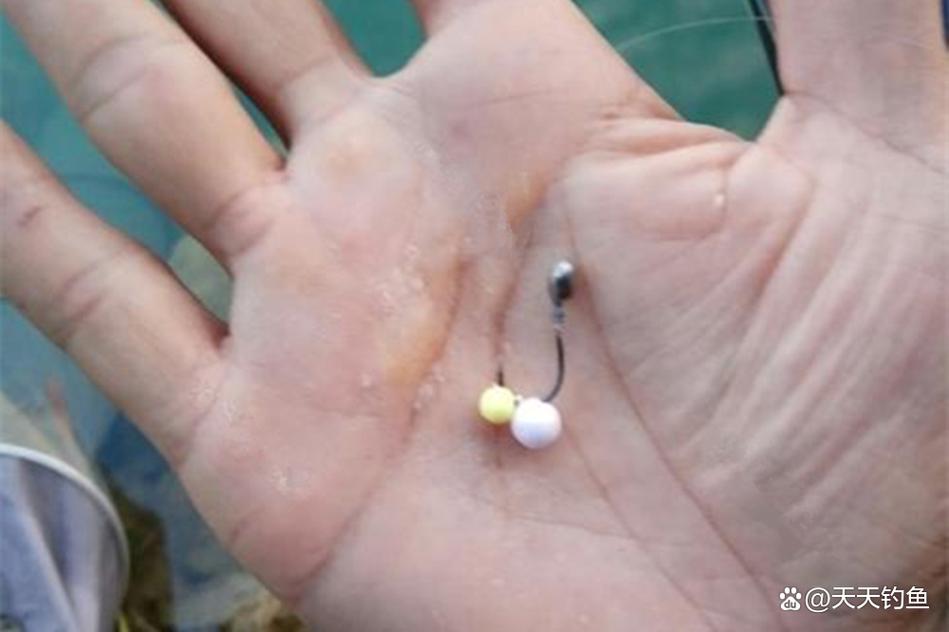釣無定律_初冬釣鯽魚_秋季釣鯽魚技巧