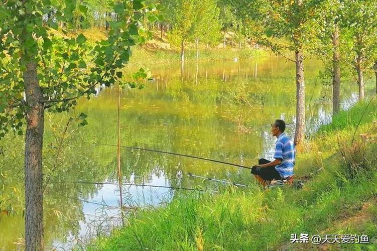 初夏野釣天氣規律_初夏釣魚_初夏野釣天氣選擇