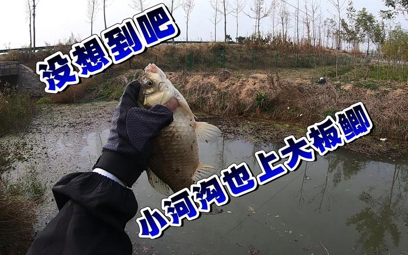 臺釣野釣技巧分享_臺釣與傳統釣區別_傳統釣吧