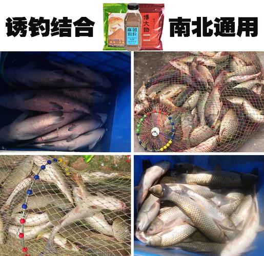 草魚餌料品牌大全_草非鯉草魚餌料適用場景黑坑_草非鯉草魚餌料品牌背景