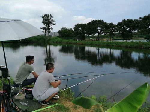 垂釣休閑農家樂信息平臺_農家樂垂釣園圖片_西垂釣農家樂