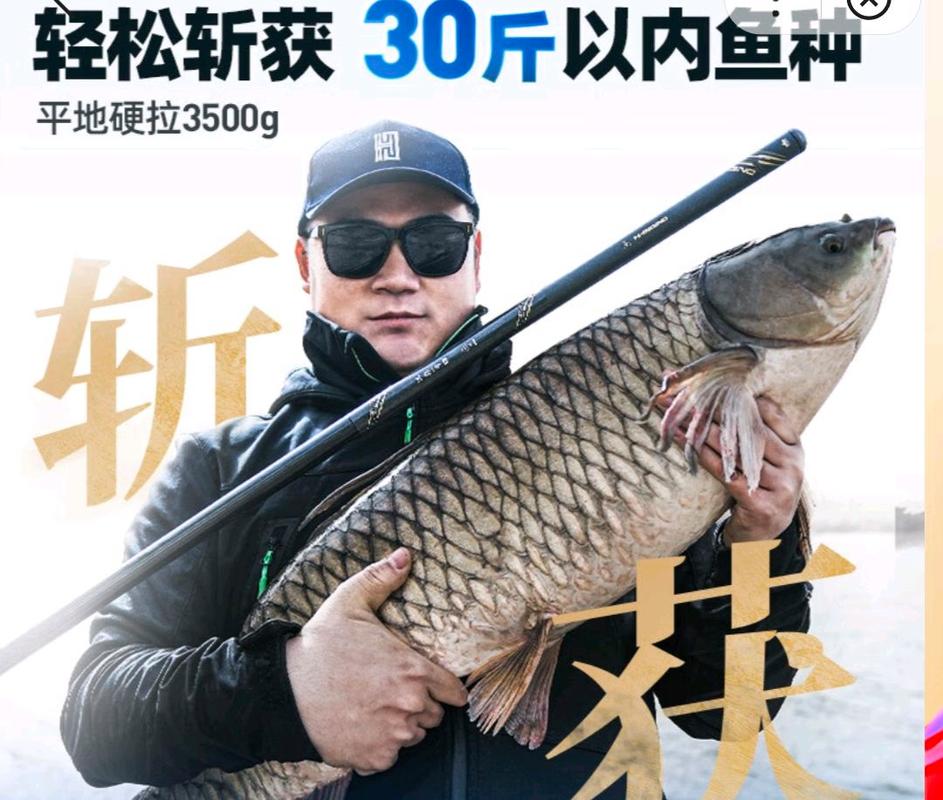 魚竿性價比高推薦_輕便耐用魚竿選擇_臺釣竿推薦新手