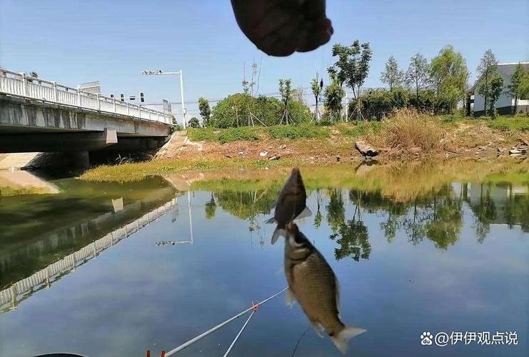 春天釣魚技巧_夏季釣魚技巧_夏季釣魚注意事項